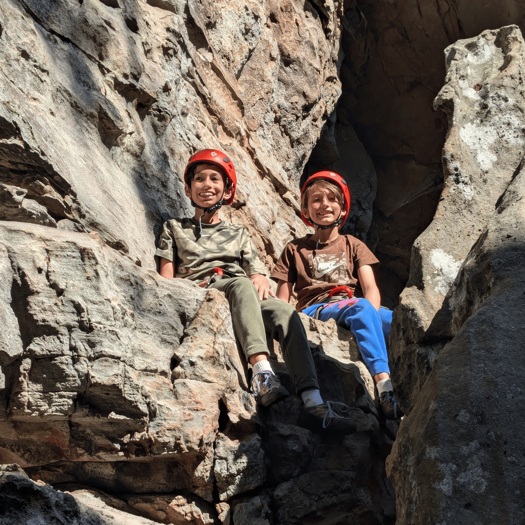 Scout Image-1 Scout Image-1